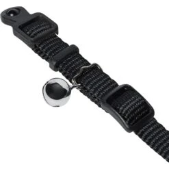 Frisco Nylon Personalized Breakaway Cat Collar With Bell -Frisco 270731 PT2. AC SS1800 V1618936921