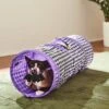 Frisco Halloween Checkered Foldable Play Tunnel Cat Toy With Catnip -Frisco 271304 MAIN. AC SS1800 V1689873224