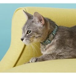 Frisco Pineapple Polyester Personalized Breakaway Cat Collar With Bell -Frisco 271597 PT4. AC SS1800 V1618936919