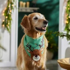 Frisco Peekaboo Reindeer Dog & Cat Bandana -Frisco 276198 PT5. AC SS1800 V1637644939