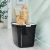 Frisco Top Entry Cat Litter Box, Extra Large -Frisco 278183 MAIN. AC SS1800 V1675279642
