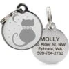 Frisco Starry Moon Crystal Cat Personalized Cat ID Tag -Frisco 286963 MAIN. AC SS1800 V1618432341