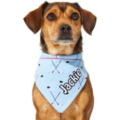 Frisco Ice Hockey Personalized Dog & Cat Bandana -Frisco 287048 PT6. AC SS1800 V1623246568