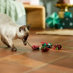 Frisco Holiday Mice Cat Toy With Catnip, 5 Count -Frisco 287307 PT3. AC SS1800 V1632773326