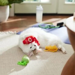 Frisco New Year, New Me Juice Cleanse Plush Cat Toy With Catnip -Frisco 288957 PT3. AC SS1800 V1638292099