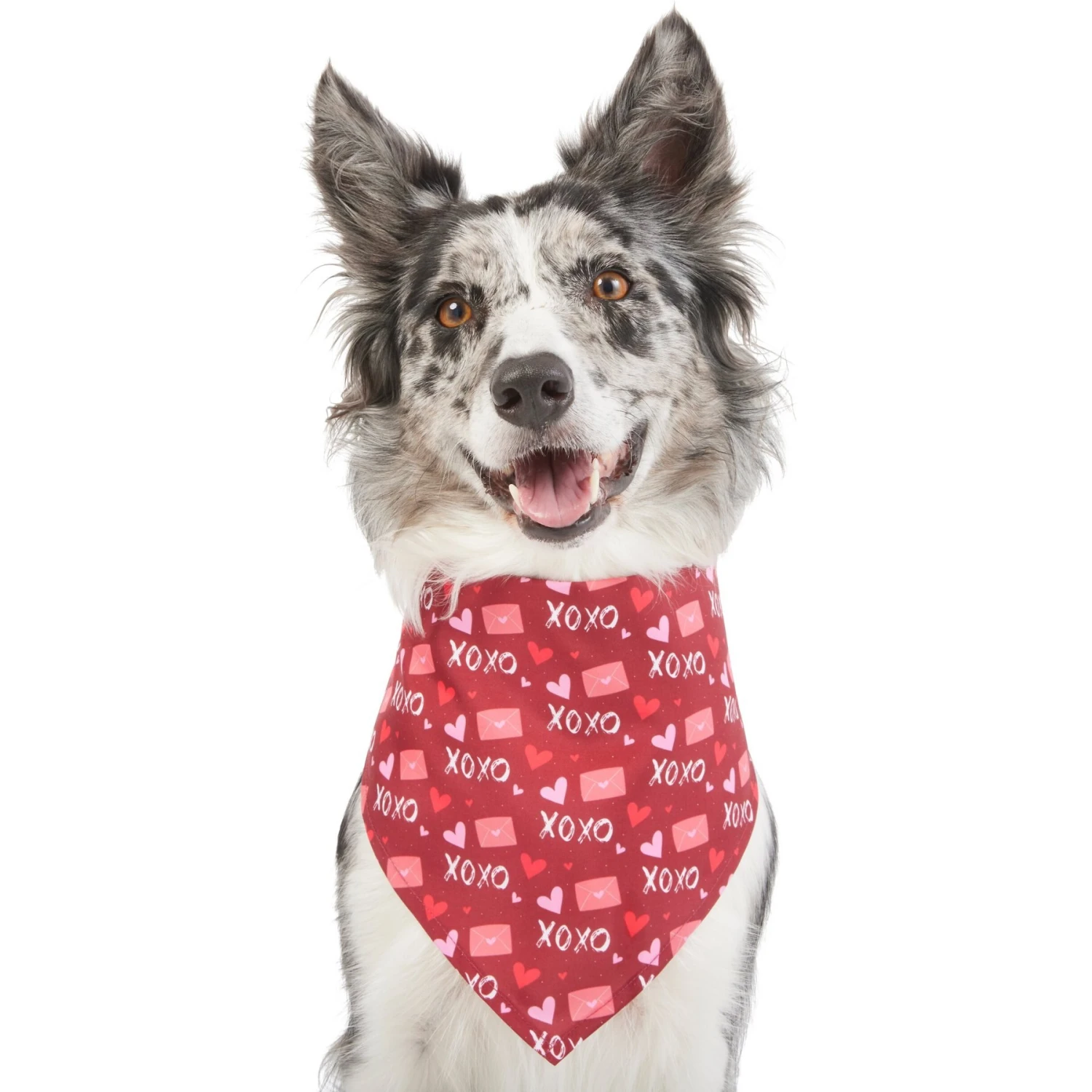 Frisco Love Letters Dog & Cat Bandana 3 Frisco Love Letters Dog & Cat Bandana