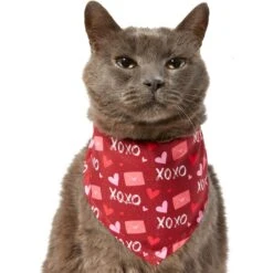 Frisco Love Letters Dog & Cat Bandana 11 Frisco Love Letters Dog & Cat Bandana -Frisco 292051 PT2. AC SS1800 V1637269050