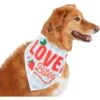 Frisco Love Bites Dog & Cat Bandana 1 Frisco Love Bites Dog & Cat Bandana -Frisco 292054 MAIN. AC SS1800 V1637268755