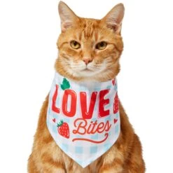 Frisco Love Bites Dog & Cat Bandana 11 Frisco Love Bites Dog & Cat Bandana -Frisco 292054 PT2. AC SS1800 V1637268455