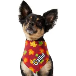 Frisco Fall Leaves Personalized Dog & Cat Bandana -Frisco 296994 PT6. AC SS1800 V1627654351