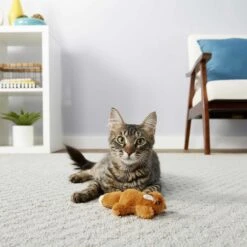 Sheba Meaty Tender Sticks Tuna Flavor Soft Adult Cat Treats & Frisco Squirrel Plush Cat Toy With Refillable Catnip -Frisco 298510 PT5. AC SS1800 V1623201742