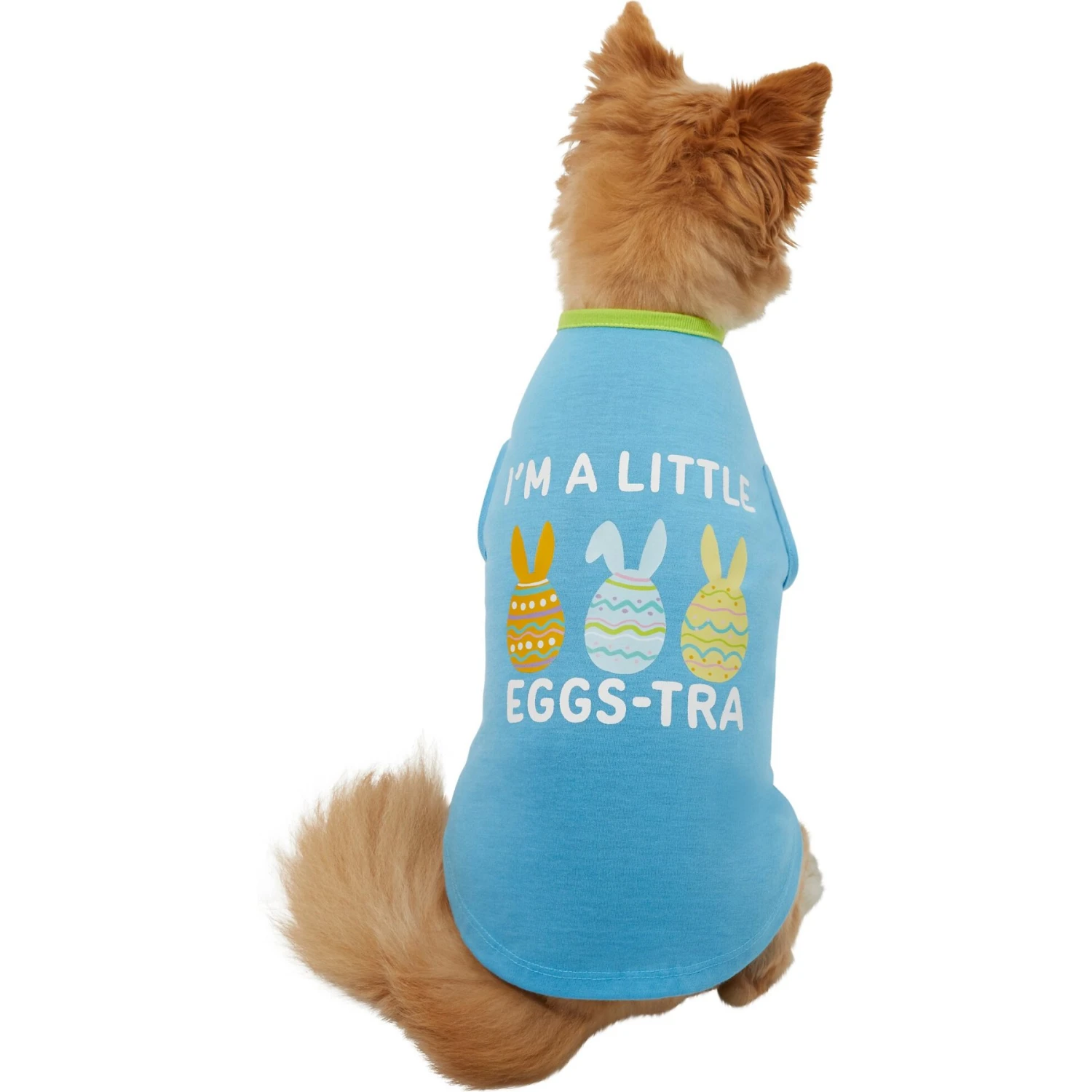 Frisco I'm A Little Eggs-tra Dog & Cat T-Shirt 3 Frisco I'm A Little Eggs-tra Dog & Cat T-Shirt