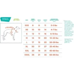 Frisco I'm A Little Eggs-tra Dog & Cat T-Shirt 9 Frisco I'm A Little Eggs-tra Dog & Cat T-Shirt -Frisco 300646 PT1. AC SS1800 V1641508015