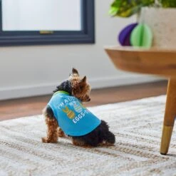 Frisco I'm A Little Eggs-tra Dog & Cat T-Shirt 13 Frisco I'm A Little Eggs-tra Dog & Cat T-Shirt -Frisco 300646 PT5. AC SS1800 V1641542509