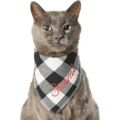 Frisco Buffalo Check Embroidered Personalized Dog & Cat Bandana -Frisco 301162 PT7. AC SS1800 V1628535983