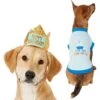 Frisco Happy Birthday Dog & Cat Crown & Frisco It's My Birthday & Cat T-Shirt -Frisco 302470 MAIN. AC SS1800 V1623076950
