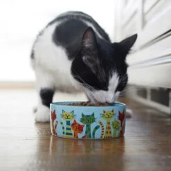 Frisco New York Non-skid Ceramic Cat Dish & Frisco New York Non-skid Ceramic Cat Bowl -Frisco 302488 PT8. AC SS1800 V1623091056