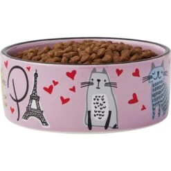 Frisco Paris Non-skid Ceramic Cat Dish & Frisco Paris Non-skid Ceramic Cat Dish -Frisco 302490 PT6. AC SS1800 V1623067060