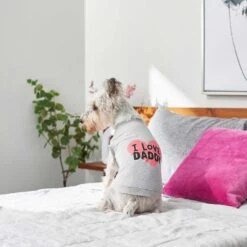 Frisco I Love Daddy Dog & Cat T-Shirt, Gray & Frisco I Love Mommy Dog & Cat T-Shirt 14 Frisco I Love Daddy Dog & Cat T-Shirt, Gray & Frisco I Love Mommy Dog & Cat T-Shirt -Frisco 302760 PT3. AC SS1800 V1623034662