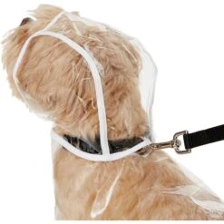 Frisco Lightweight Rainy Days Dog Raincoat & Frisco Lightweight Clear Vinyl Dog Raincoat -Frisco 302814 PT6. AC SS1800 V1623065256