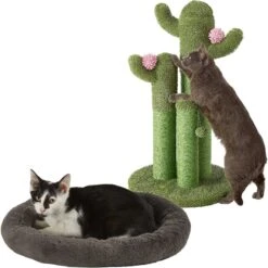 Frisco Self Warming Bolster Round Kitten Bed & Frisco Cactus Cat Scratching Post