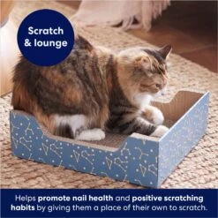 Frisco Step-In Cat Scratcher Toy With Catnip -Frisco 308868 PT3. AC SS1800 V1678723851