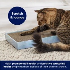 Frisco Double-Wide Cat Scratcher Toy With Catnip -Frisco 308878 PT3. AC SS1800 V1678723896