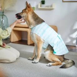 Frisco Green Tie Dye Dog & Cat Dress 13 Frisco Green Tie Dye Dog & Cat Dress -Frisco 312104 PT8. AC SS1800 V1644424641