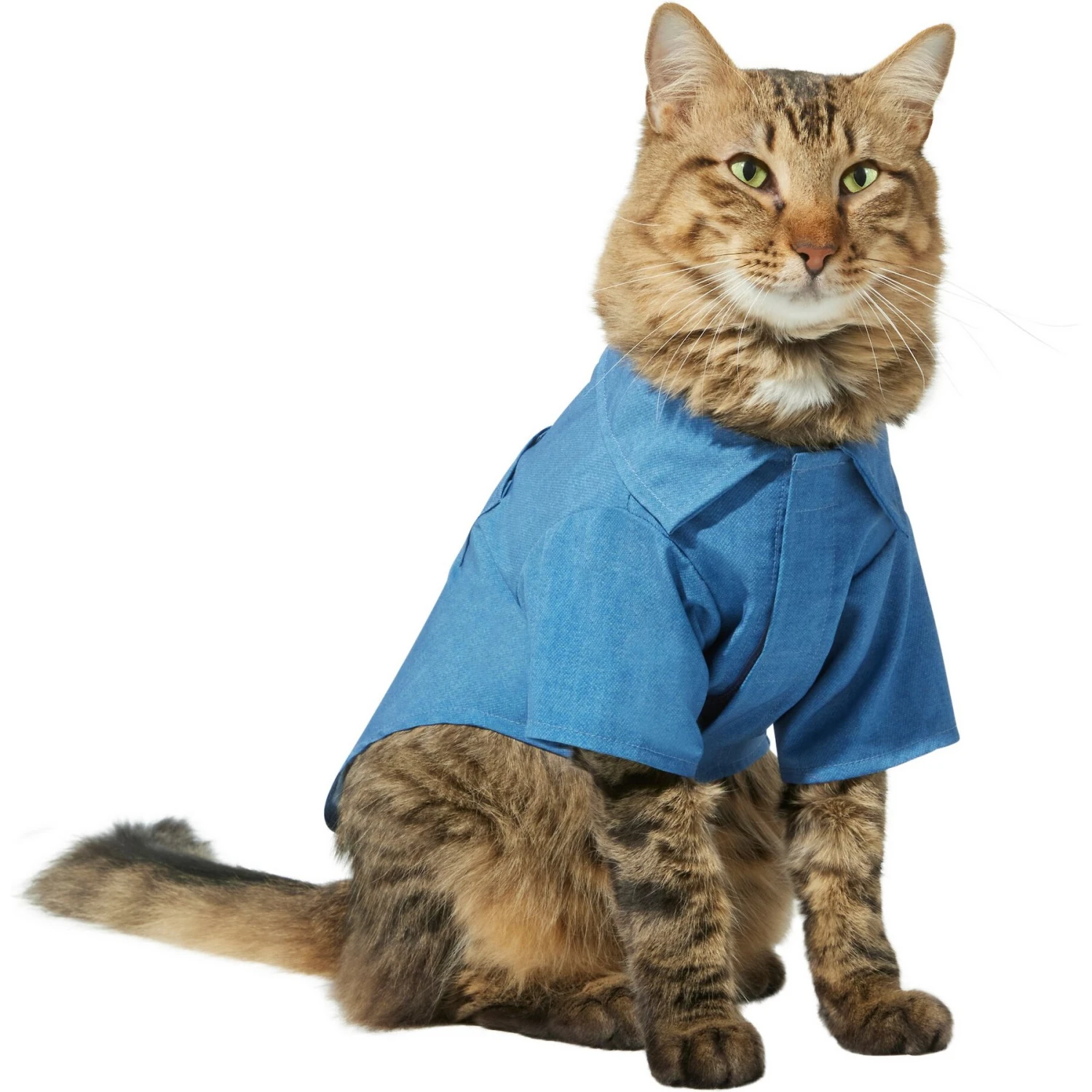 Frisco Chambray Pineapple Dog & Cat Shirt 5 Frisco Chambray Pineapple Dog & Cat Shirt - Image 3