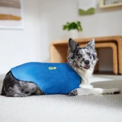 Frisco Chambray Pineapple Dog & Cat Shirt 19 Frisco Chambray Pineapple Dog & Cat Shirt -Frisco 312192 PT8. AC SS1800 V1644526681