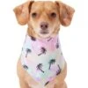 Frisco Palm Tree Dog & Cat Bandana