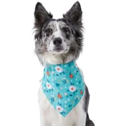Frisco Spring Floral Dog & Cat Bandana