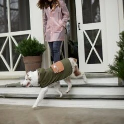 Frisco Lightweight Olive Reversible Packable Dog Raincoat -Frisco 315116 PT8. AC SS1800 V1646435907