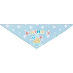 Frisco Birthday Pup Dog & Cat Bandana 13 Frisco Birthday Pup Dog & Cat Bandana -Frisco 315130 PT5. AC SS1800 V1646434611