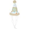 Frisco It's A Party Animal Dog & Cat Hat -Frisco 315140 MAIN. AC SS1800 V1646436086
