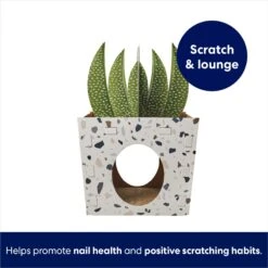 Frisco Potted Succulent Cardboard Cat House -Frisco 317723 PT2. AC SS1800 V1689342085