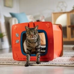 Frisco TV Set Cardboard Cat House -Frisco 317731 PT4. AC SS1800 V1688677247