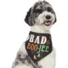 Frisco Bad & Boo-Jee Dog & Cat Costume Bandana -Frisco 334807 MAIN. AC SS1800 V1658368617