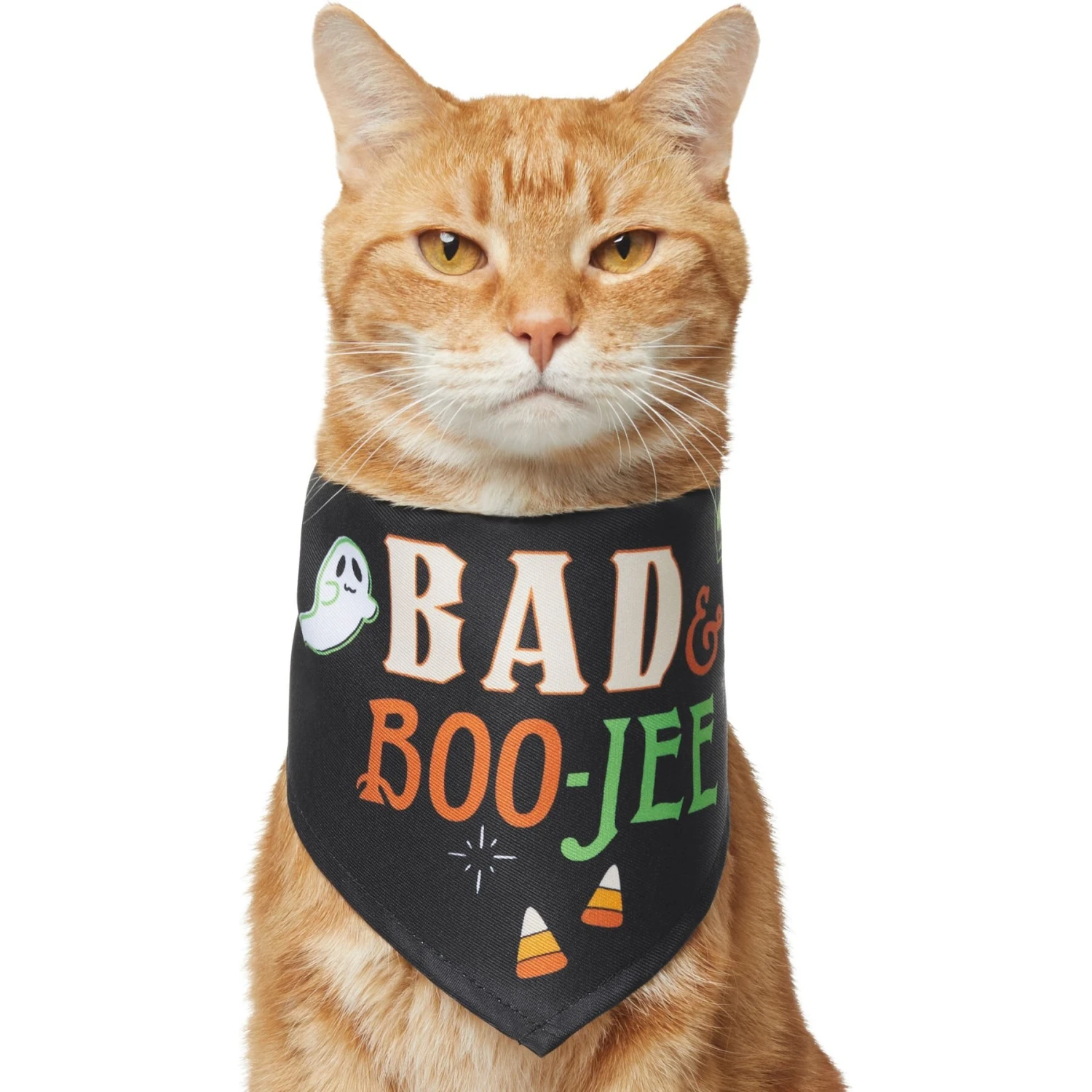 Frisco Bad & Boo-Jee Dog & Cat Costume Bandana 5 Frisco Bad & Boo-Jee Dog & Cat Costume Bandana - Image 3