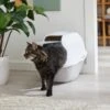 Frisco Modern Hooded Cat Litter Box -Frisco 341985 MAIN. AC SS1800 V1642605052