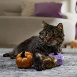 Frisco Halloween Bougie Pumpkins Plush Cat Toy With Catnip -Frisco 344014 PT3. AC SS1800 V1657657029