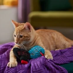 Frisco Halloween Elixirs Plush Cat Toy With Catnip -Frisco 344070 PT3. AC SS1800 V1657657033