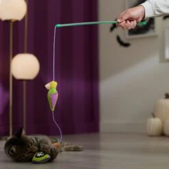 Frisco Halloween Potion Teaser Wand Cat Toy With Catnip 8 Frisco Halloween Potion Teaser Wand Cat Toy With Catnip -Frisco 344076 PT3. AC SS1800 V1657657033