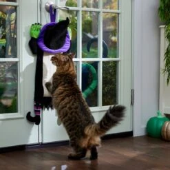 Frisco Halloween Witch Doorknob Hanger Cat Toy With Catnip 10 Frisco Halloween Witch Doorknob Hanger Cat Toy With Catnip -Frisco 344092 PT3. AC SS1800 V1657657035