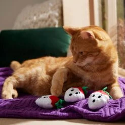 Frisco Halloween Ghost Strawberries Plush Cat Toy With Catnip, 3 Count 8 Frisco Halloween Ghost Strawberries Plush Cat Toy With Catnip, 3 Count -Frisco 354127 PT3. AC SS1800 V1657657123