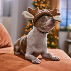 Frisco Antler Fair Isle Dog & Cat Hat -Frisco 358313 PT4. AC SS1800 V1661798696