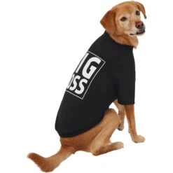 Frisco Big Boss Dog & Cat T-Shirt -Frisco 368782 PT4. AC SS1800 V1669100910