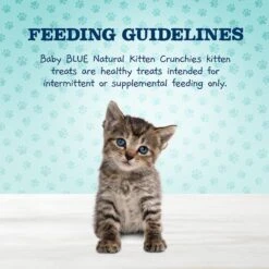 Blue Buffalo Baby Blue Savory Salmon Kitten Treats, 2-oz Bag & Frisco Bird With Feathers Teaser Wand Cat Toy With Catnip 16 Blue Buffalo Baby Blue Savory Salmon Kitten Treats, 2-oz Bag & Frisco Bird With Feathers Teaser Wand Cat Toy With Catnip -Frisco 501918 PT5. AC SS1800 V1648504917