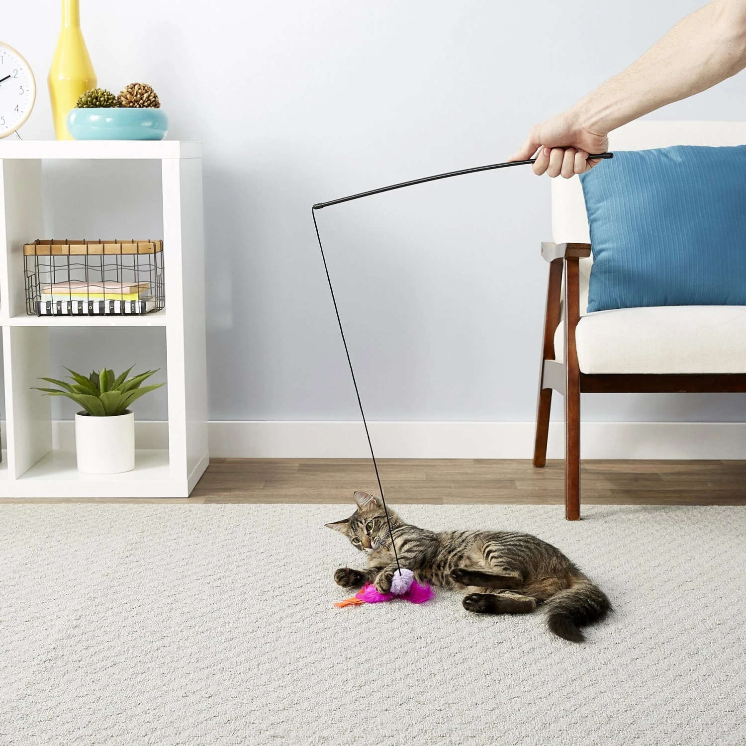 Blue Buffalo Baby Blue Savory Salmon Kitten Treats, 2-oz Bag & Frisco Bird With Feathers Teaser Wand Cat Toy With Catnip 11 Blue Buffalo Baby Blue Savory Salmon Kitten Treats, 2-oz Bag & Frisco Bird With Feathers Teaser Wand Cat Toy With Catnip - Image 9