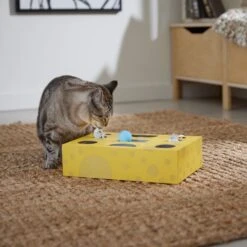 Frisco Cheese Interactive Maze Cardboard Cat Toy Box With Catnip -Frisco 506106 PT4. AC SS1800 V1669148185